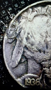 1936 Buffalo Nickel With A Cud Die Break Mint Error - Picture 1 of 22
