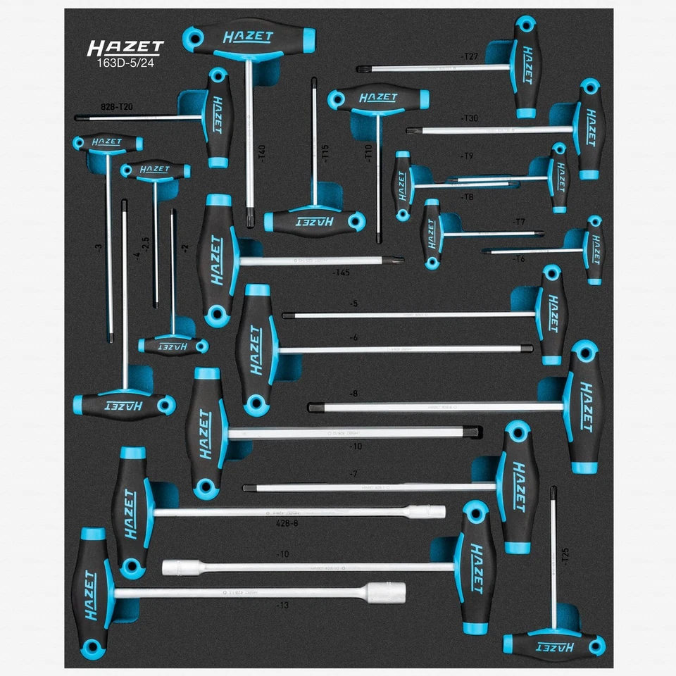 Hazet 163D-5/24 Juego de Mangos en T Métricos en Bandeja de Espuma, 24 Piezas Foto 1 de 1
