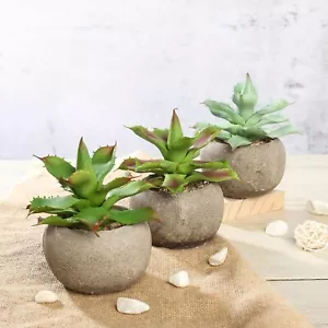 Green 3 Assorted 5" Faux Home Garden Aloe Succulent Plants Round Pots Sale - Picture 1 of 7