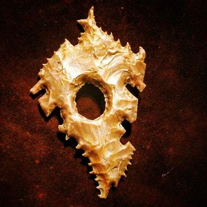 Wicked Eccentric Sculpture Flint Knapped By Robert Ratliff - Picture 1 of 2