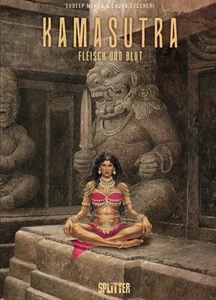 DIVISOR KAMASUTRA - Imagen 1 de 1