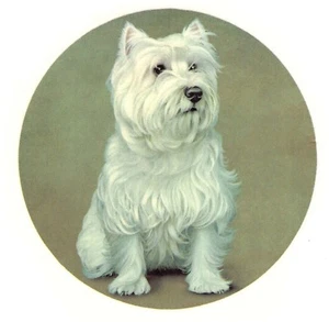 1 calcomanía de cerámica tobogán acuático sobreesmaltado Westland Terrier Westie Dog 7-1/2" - Imagen 1 de 1
