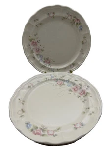 Pfaltzgraff 4er Set Teerose Essteller 10,5" USA - Bild 1 von 9