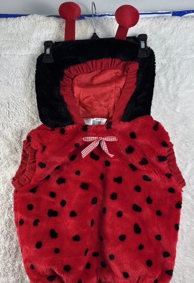 Fantasia de Halloween infantil tamanho 12-24 meses Lady Bug roupa de pelúcia fofa! - Imagem 1 de 4