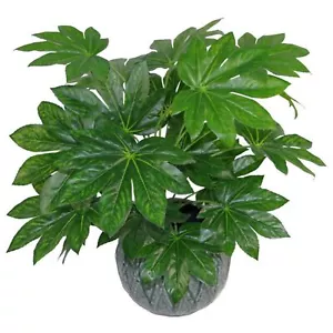 Large Artificial Foliage Plant Pot Aralia 60cm Realistic Faux Plants - Picture 1 of 1