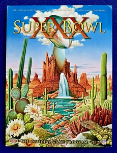 Programa de juego de recuerdo vintage del Super Bowl XXX 1996/Cowboys over Steelers - Imagen 1 de 12