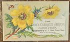 Victorian Trade Card Coose's Celebrated American Cough Syrup Essex Ma #2