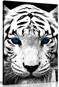 Impresión artística de lona de animal de lona de tigre blanco ojos azules - Imagen 1 de 5