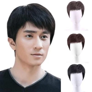 Men's Short Wig Realistic Natural Comfortable for Daily Wear/Special Occasi GX - Picture 1 of 12