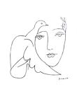 Pablo Picasso Face - Dove Art Print 22 X 28