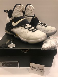 lebron 14 all star