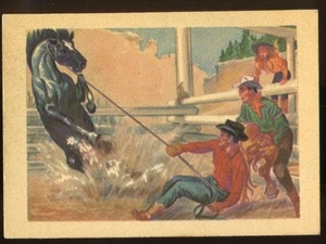 1956 Gum Inc. Adventure (R749) #68 Breaking a Horse .. Cowboy Style - Rodeo - Picture 1 of 2