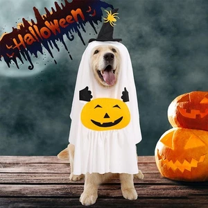 Dog Funny Costume Set, Pumpkin Ghost Transformation Costume Halloween Dog X0Z1 - Picture 1 of 17