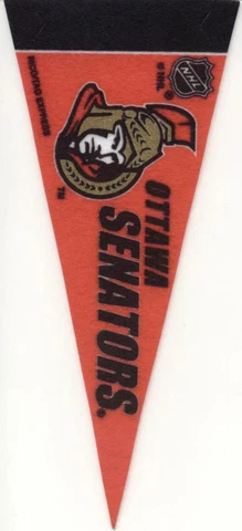 OTTAWA SENATORS MINI NHL FELT PENNANT 9" LONG OFFICIALLY LICENSED HOCKEY Cover