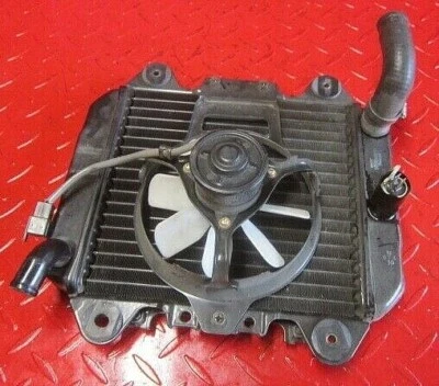 Kawasaki Ninja ex 250 R 250R ex250 Radiador Motor Refrigerante Ventilador Sensor 2005 Foto 1 de 4