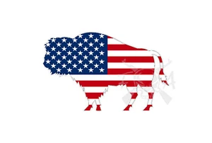 American Flag Buffalo outline Vinyl Sticker Decal Hunting USA bison cow bull - Imagen 1 de 1