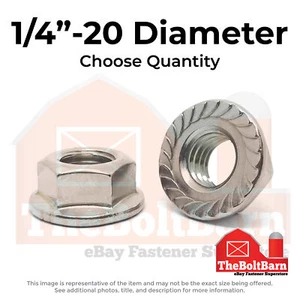 1/4"-20 316 Stainless Steel Serrated Hex Flange Nuts Coarse Thread (Pick Qty) - Picture 1 of 7