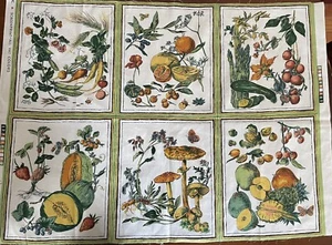 (6) VTG Fruit Vegetable Mushrooms Fabric Quilting Squares 13 1/2” X 11 1/2” - Picture 1 of 7