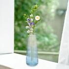 Glass Vase Clear Containers Clear Plant Pot Flower Vase Aesthetic For Cafe