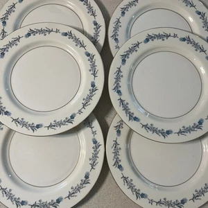 Theodore Haviland China CLINTON Pattern Set Of 6 Dinner Plates 10” USA - Picture 1 of 9