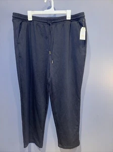 Womens Sweat Pant Blue Pin Stripe, Elastic Waist, Pockets, 2X NWT, 40 X28 - Picture 1 of 5