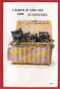NORTHUMBERLAND   SEAHOUSES. NOVELTY PULL OUT.  BLACK CATS Nr ALNWICK - Picture 1 of 1