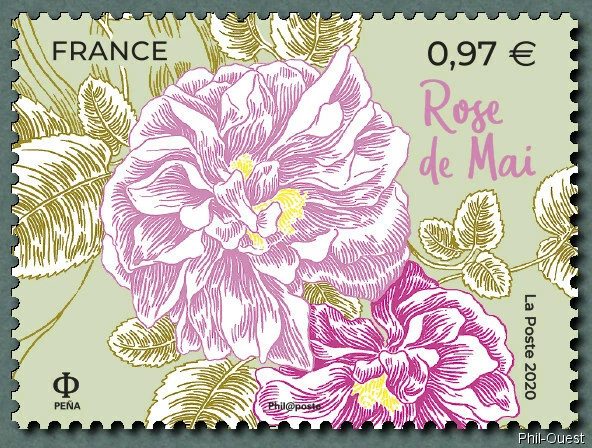 france 2020 flower blumen fiori Fleurs Grasse Méditerranée ROSE DE MAI 1v mnh - Image 1 of 1