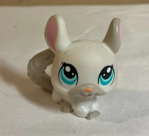 Littlest Pet Shop Animal - 1401 White Chinchilla - Picture 1 of 2