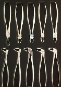 Set of 10 Dental Pliers Orthodontics Dental Forceps Tooth Extraction Forceps - Picture 1 of 10