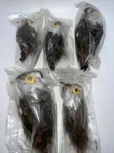 Feathered Owls Craft Picks Floral Craft Lot of 5 NOS Unused Wire Feet Bead Eyes - Picture 1 of 9