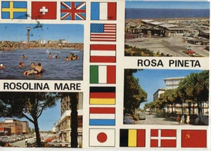Alte Postkarte - Rosolina Mare - Rosa Pineta - Bild 1 von 1