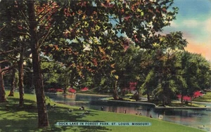 Postcard Duck Lake In Forest Park St Louis Missouri MI - Picture 1 of 2