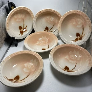 Syracuse China Econo Rand Madam Butterfly Airbrush 6-5" Beerenschalen BB14 - Bild 1 von 17