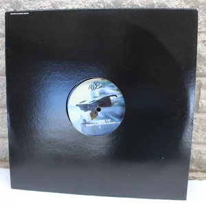 Modula VI / Division By Zero Mr. Eko / Get Up SINGLE 12" Vinyl Record VG+ - Picture 1 of 6