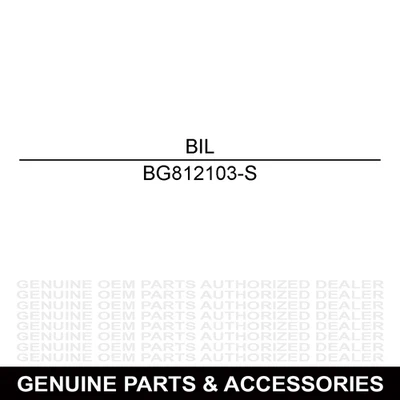 Placa delantera Billy Goat BG812103-S Wa 10 Foto 1 de 3