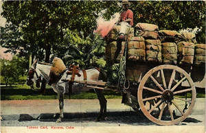 PC HAVANA, TOBACO CART, VINTAGE POSTCARD (b17708) - Imagen 1 de 2