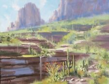 TOM HAAS painting ''Canyon Garden' oil 11x14 Sabino Canyon Catalina Mtns desert