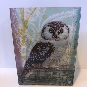 Art Glass Fringe Studio Owl Floral Square Vase - Picture 1 of 7
