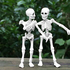 Figure Mini Toy Model Halloween Human Movable Full Skeleton Body Novelty funny