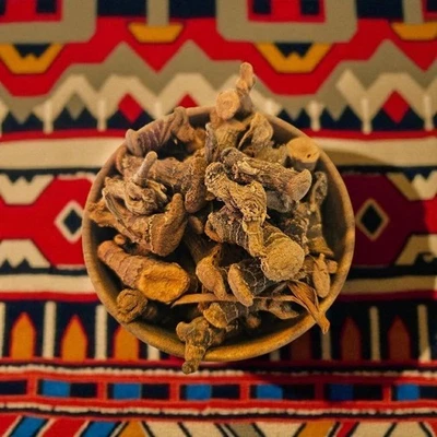 ESPRIT ORIENTAL Racine de Galanga - Khodinjal - خودنجال