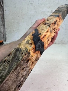 Stabilisiertes Buckeye Burl Hybrid Pool Queue Blank | Oversized | SBB 1051 - Bild 1 von 8