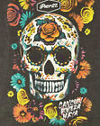 NWT Pier 27 Ladies Shirt Sz M Cancun Riviera Maya Colorful Sugar Skull