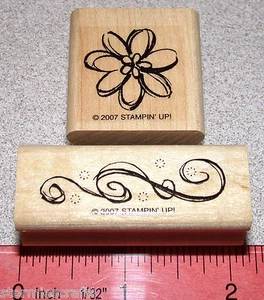 Flower Blossom Sketched Scroll Rubber Stamp Singles Stampin Up Delight in Life - Picture 1 of 2