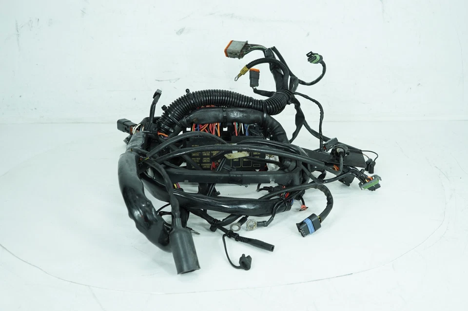 Harley Softail Heritage 2004 FLSTCI cableado principal arnés telar 70216-04A Foto 1 de 4