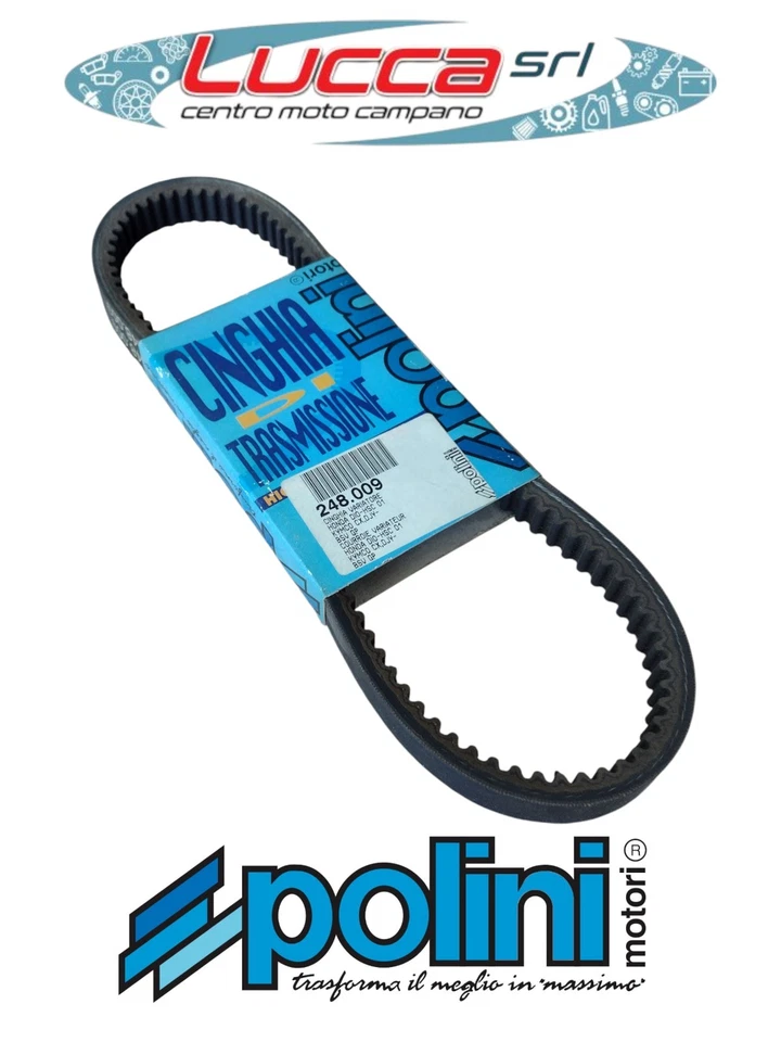 248009 Cinghia Trasmissione Polini Honda Dio 50 - Kymco DJ X 50 - Kymco DJ Y 50 - Immagine 1 di 1