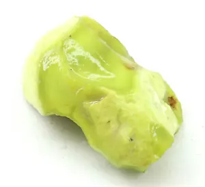 Natürlicher grüner Opal australischer ungeschliffener grober zertifizierter loser Edelstein 63,80 ct - Bild 1 von 9