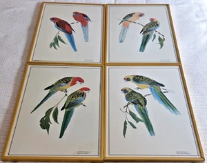 Set of 4 Rosella Parrot prints very nicely framed in Brass Frames - Picture 1 of 8
