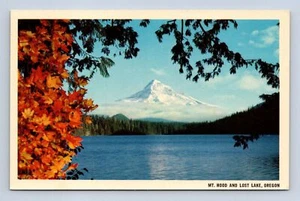 Mt. Postal Hood and Lost Lake Oregon K-206-A sin publicar - Imagen 1 de 2