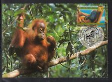 US ) 3 nice Maximum Card UN Vienna, Geneva,N.Y 1998 - Protects the Rainforests