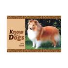 Know Your Dogs by Jack Byard